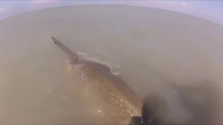 SawFish attacks Fisherman [upl. by Ensoll]