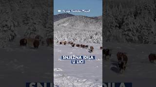 ❄️Prava snježna idila zavladala je u Lici 🤩 [upl. by Venetis]