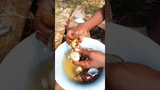 how to clean amp remove snails from shellsWest african food recipesoffgrid homesteadviralshorts [upl. by Peder]