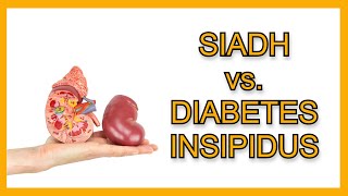 SIADH vs Diabetes Insipidus [upl. by Anivlek]