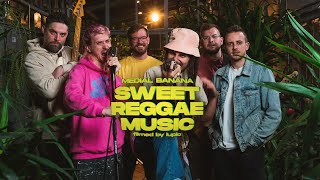 MEDIAL BANANA  SWEET REGGAE MUSIC [upl. by Lala971]