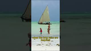 Best Time to Visit Zanzibar Travel Guide [upl. by Chavez]