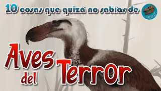 10 Cosas que quizá no sabías de AVES DEL TERROR [upl. by Zeeba984]