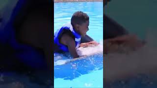 First time swimming with a dolphin and it was the best experience ever 🐬 shorts [upl. by Israeli]