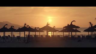 Discover Iberostar Alcudia Park  Iberostar Hotels amp Resorts [upl. by Annaya]