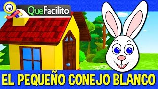 Audio Cuento El pequeño conejo Blanco [upl. by Pulsifer]