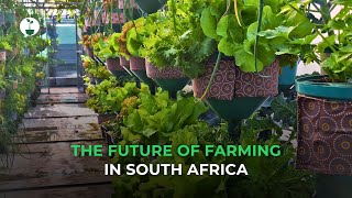 The Future of Farming in South Africa  Hydroponic Farming  African Grower [upl. by Ithnan862]