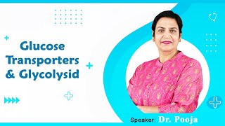 Glucose Transporters amp Glycolysid By Dr Pooja For MBBS 1st Proff [upl. by Prescott]