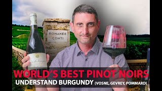 Finest Burgundy Wines  Your Guide to Top Pinot Noirs  VosneRomanée Pommard GevreyChambertin [upl. by Ahsekyt]