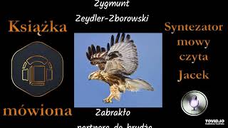 Powieść milicyjna Zabrakło partnera do brydża 1966 audiobook cz 4  5 [upl. by Marjie329]