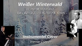 Weißer Winterwald  Instrumnetel Cover  Werner Dippon [upl. by Alinoel653]