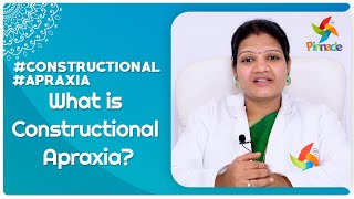 ConstructionalApraxia  What Is Constructional Apraxia    Pinnacle Blooms Network  1 Autism [upl. by Smith]