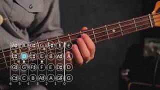 How to Play a D Sharp  E Flat Note  Bass Guitar [upl. by Dallman]