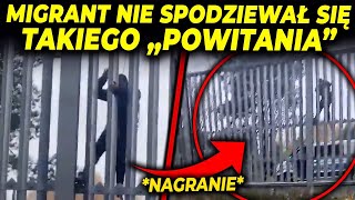 ŻOŁNIERZE quotPRZYWITALIquot MIGRANTA NA GRANICY [upl. by Tonkin378]