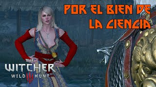 Por El Bien De La Ciencia  The Witcher 3 Wild Hunt [upl. by Hilarius]