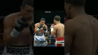 Avila Vs Davis highlightsboxing [upl. by Akem]