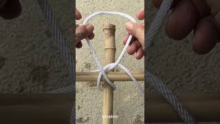 Strong wood joint in seconds diy woodworking knots shorts [upl. by Tella]