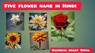 Five Flower Names In Hindi पांच फूलों के नाम हिंदी में  Five flower names In Hindi And English [upl. by Robin]